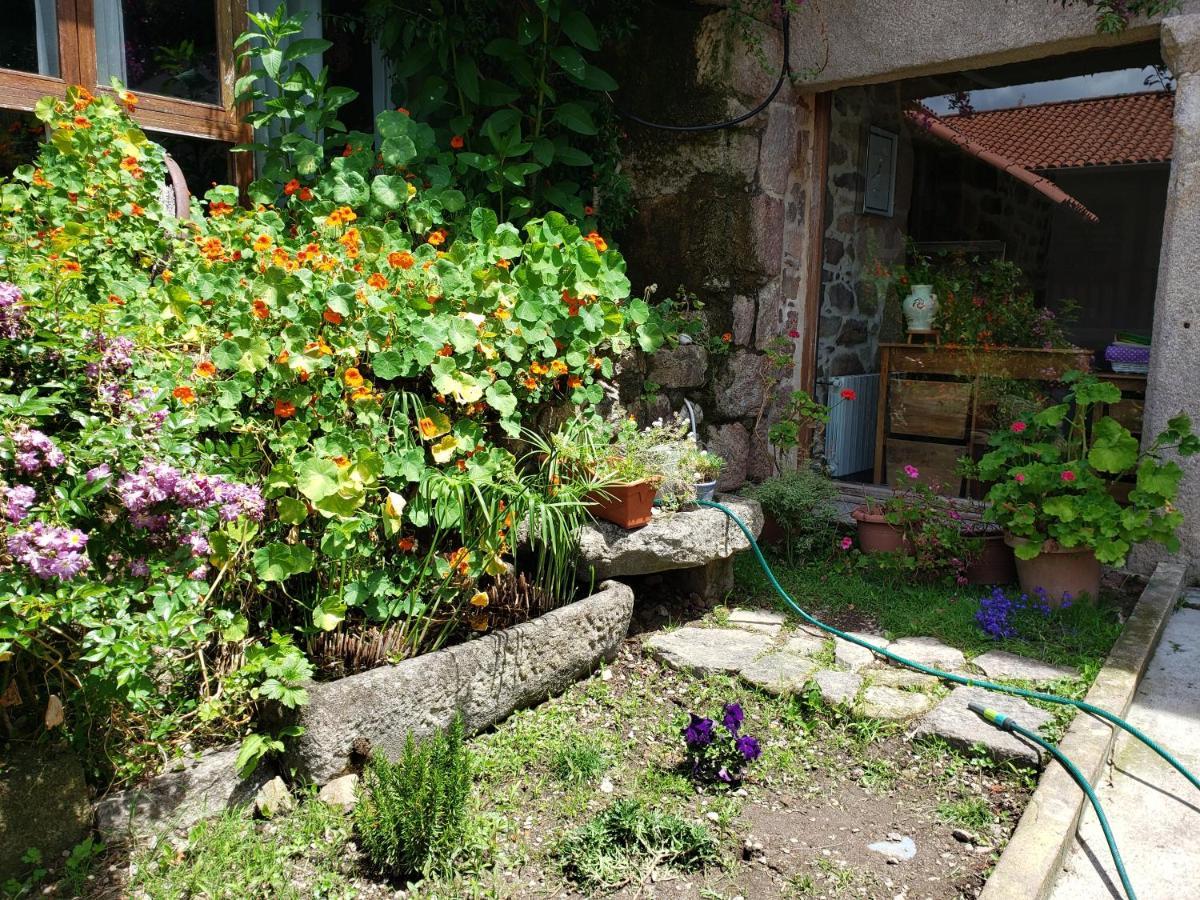 Гостевой дом Casa Rural Do Fontan Понтеведра Экстерьер фото